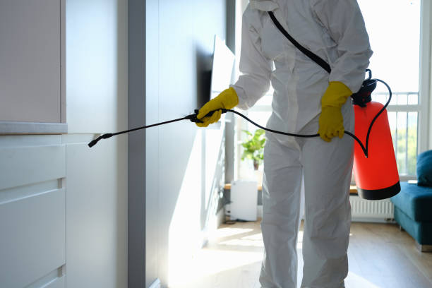 Best Asbestos and Lead Testing During Mold Inspection  in Rockville, MN